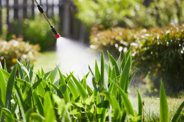24/7 Emergency Cockroach Control experts in Lynwood, IL