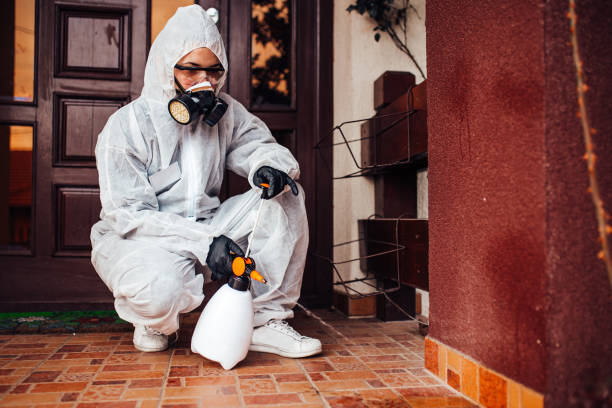 Reliable Cockroach Control contractor in Lynwood, IL by Nex Pest Control
